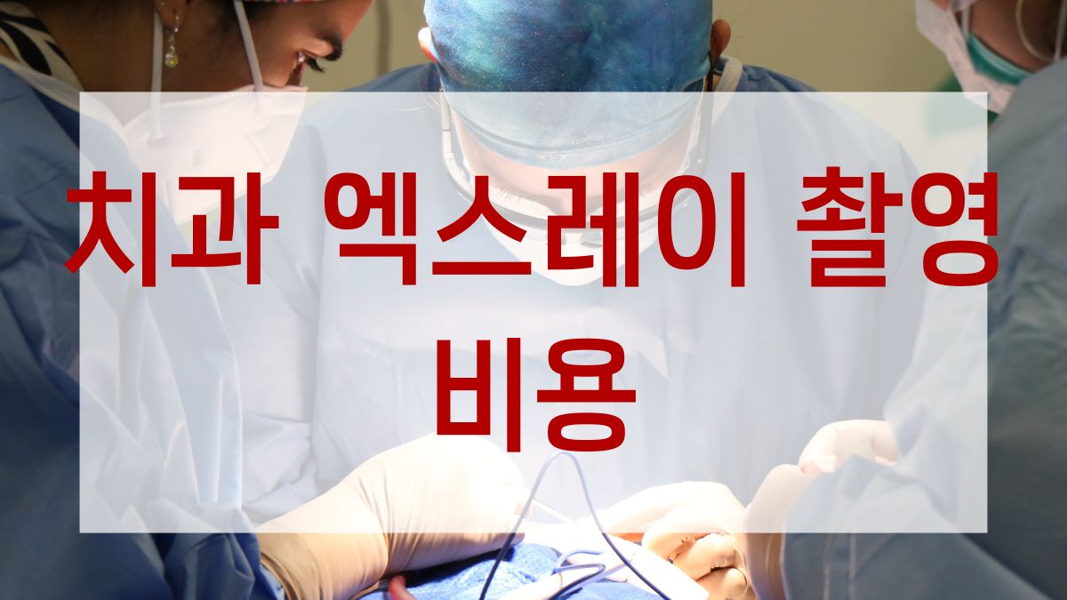 치과 엑스레이 촬영 비용