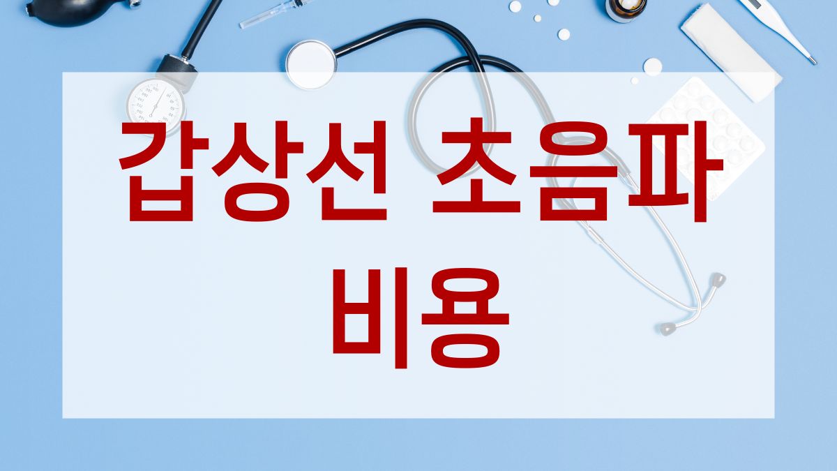 갑상선 초음파 비용