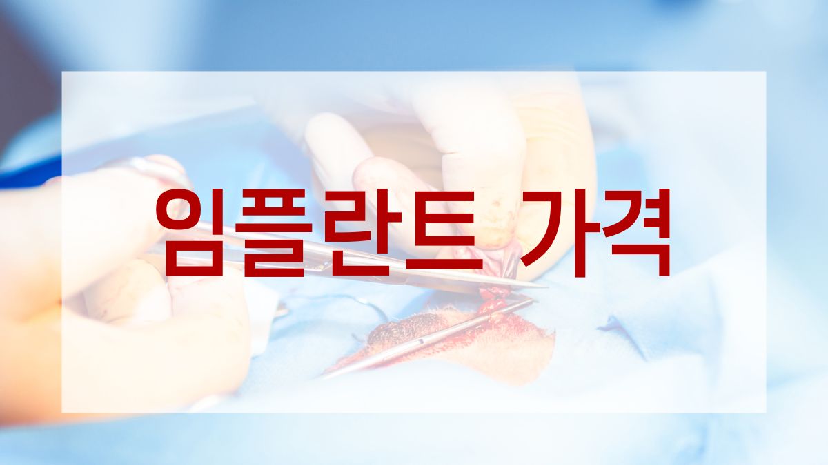 임플란트 가격