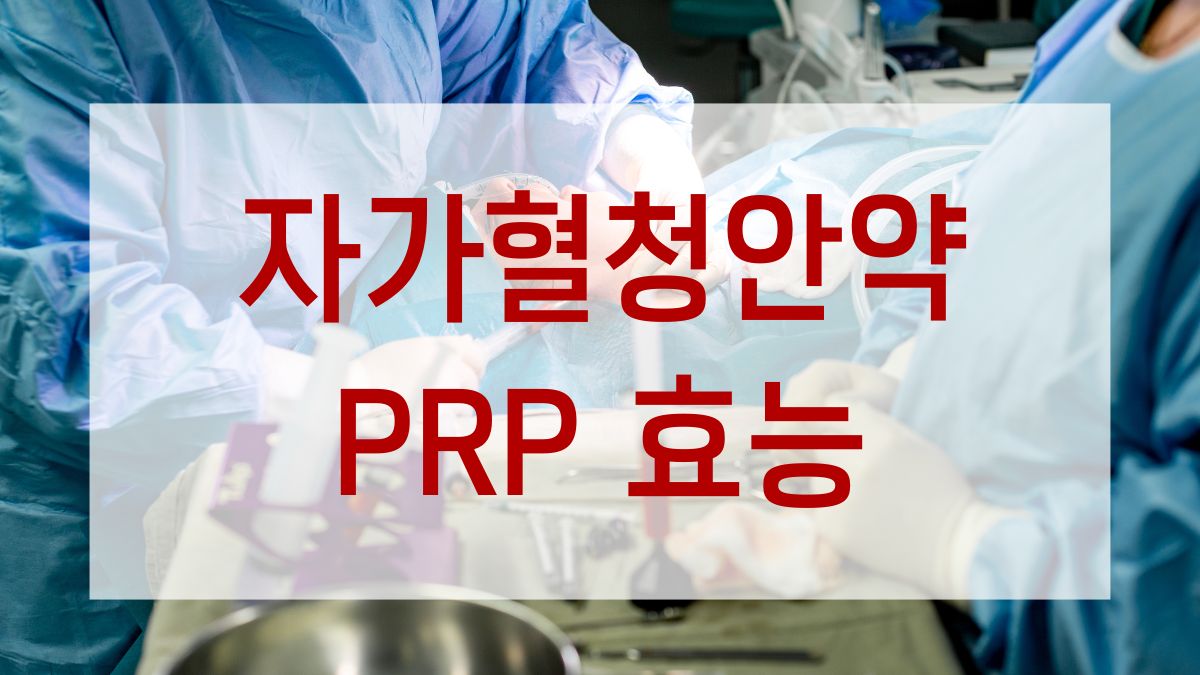 자가혈청안약 PRP