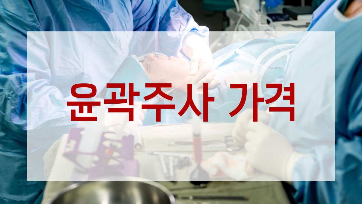 윤곽주사 가격