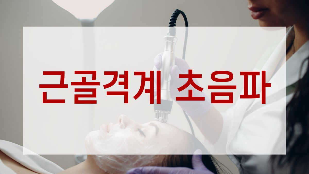 근골격계 초음파