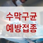 수막구균 예방접종