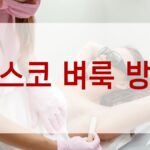 세스코 벼룩 방제