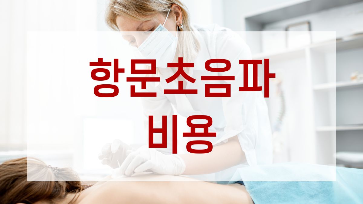 항문초음파 비용