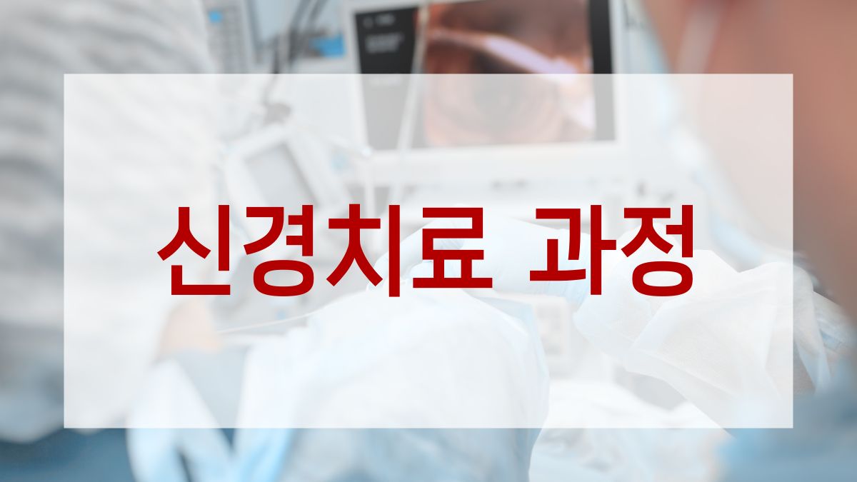 신경치료 과정