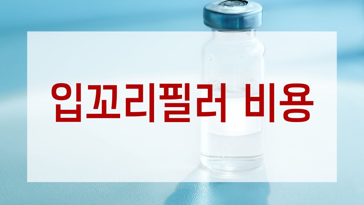 입꼬리필러 비용