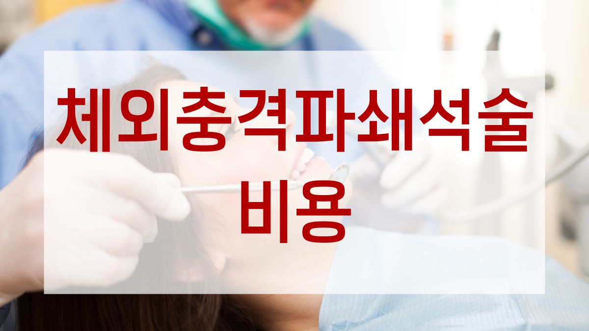 체외충격파쇄석술 비용