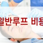 일반루프 비용