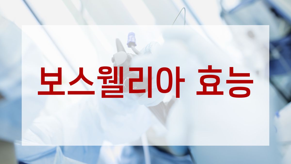 보스웰리아 효능