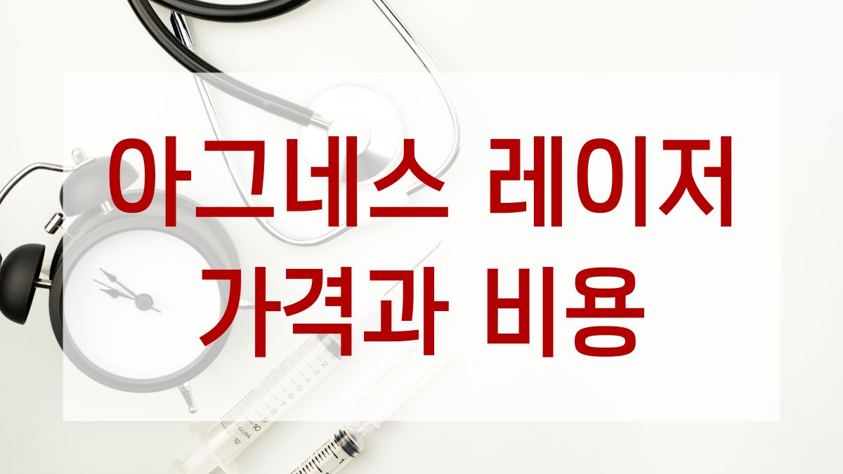 아그네스 레이저 가격과 비용