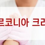 지르코니아 크라운