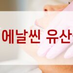 비에날씬 유산균