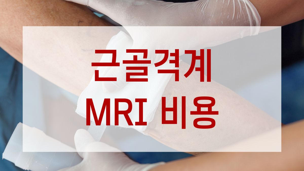 근골격계 MRI 비용