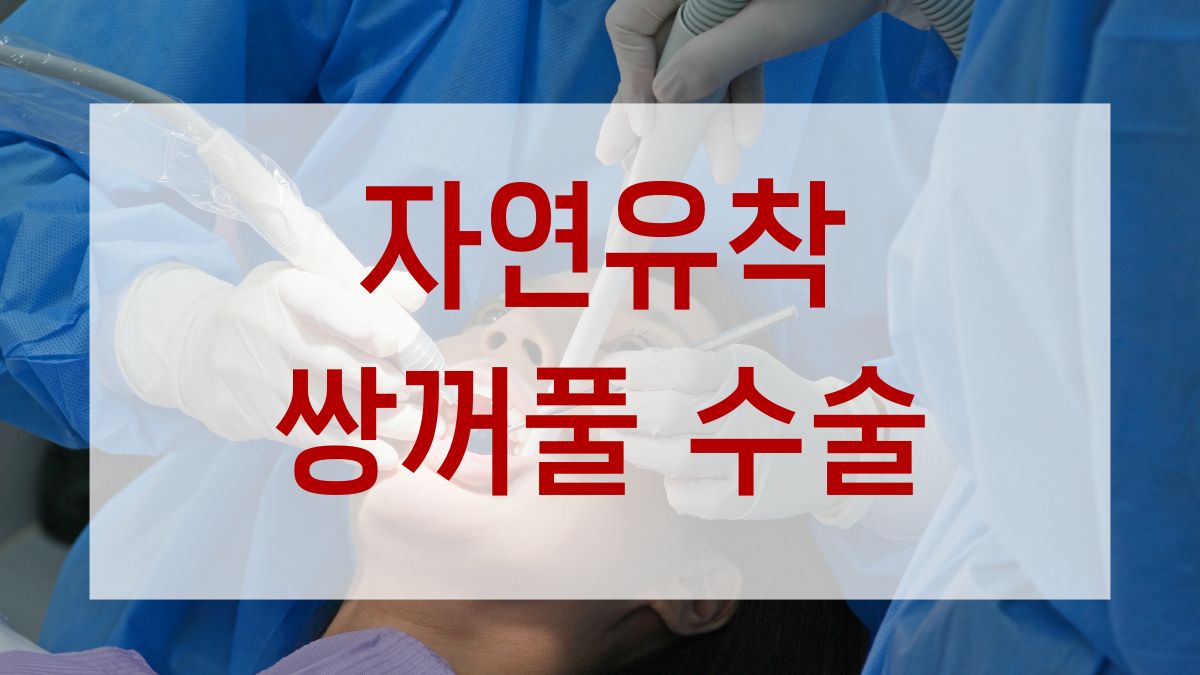 자연유착 쌍꺼풀 수술