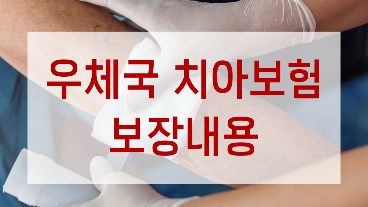 우체국 치아보험 보장내용