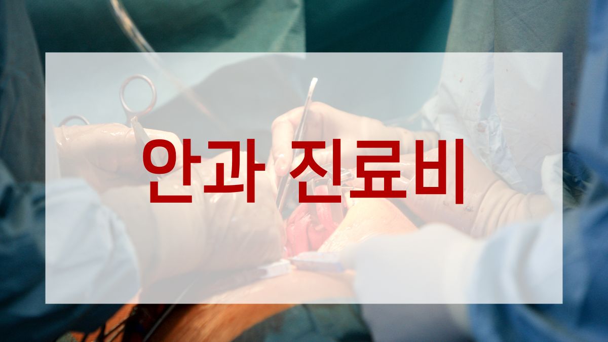 안과 진료비