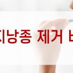 피지낭종 제거 비용