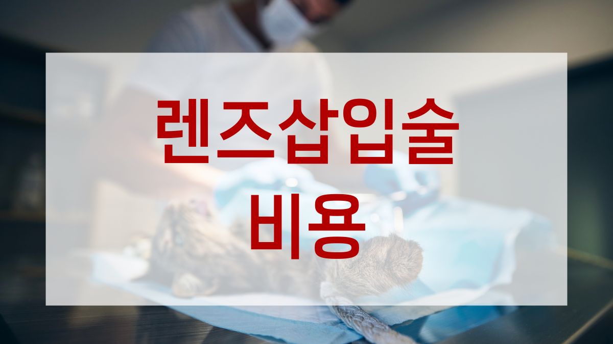 렌즈삽입술 비용