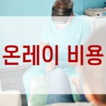 온레이 비용