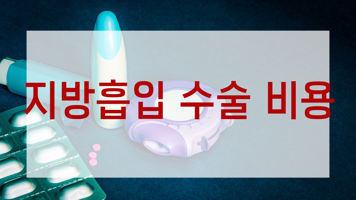 지방흡입 수술 비용