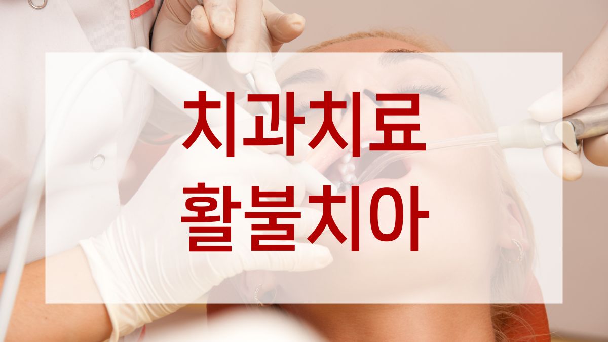 치과치료 활불치아