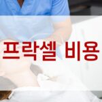 프락셀 비용