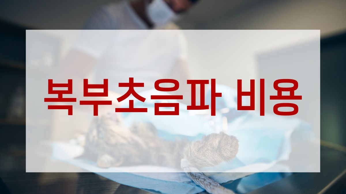 복부초음파 비용