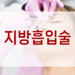 지방흡입술