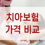 치아보험 가격비교