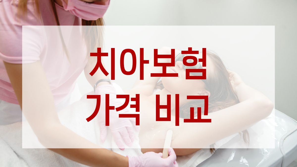 치아보험 가격비교